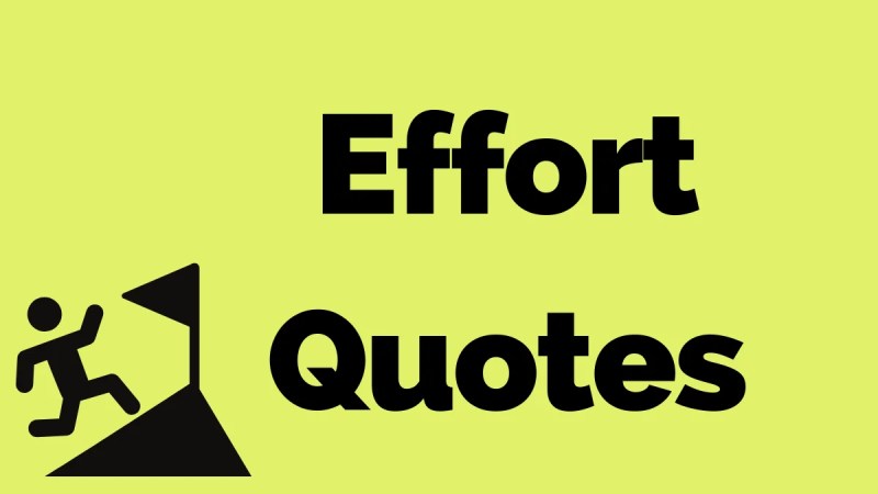 45 Effort Quotes to Inspire Hard Work & Determination