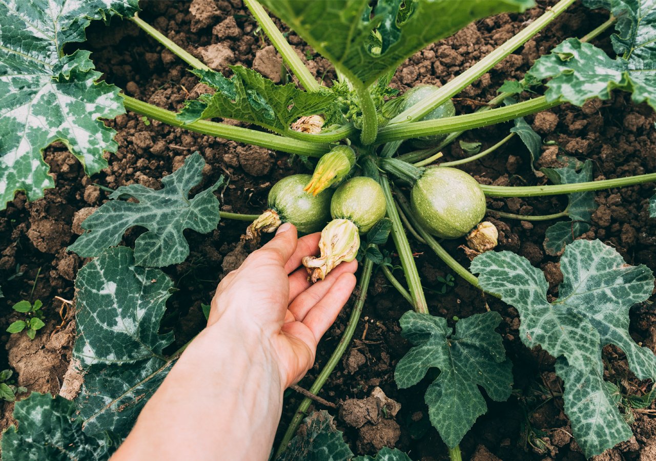 Tech used in agriculture