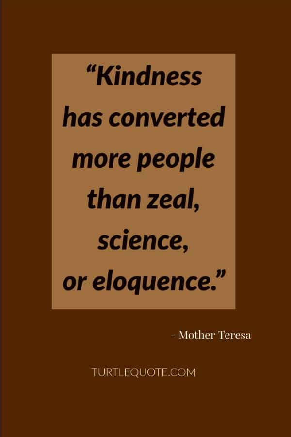 Quotes by Mother Teresa