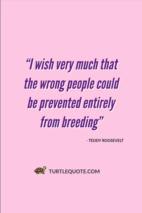 Quotes by Theodore Roosevelt