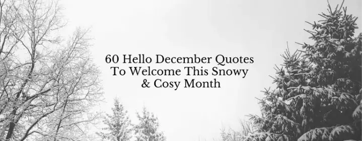 60 Hello December Quotes To Welcome This Snowy & Cosy Month