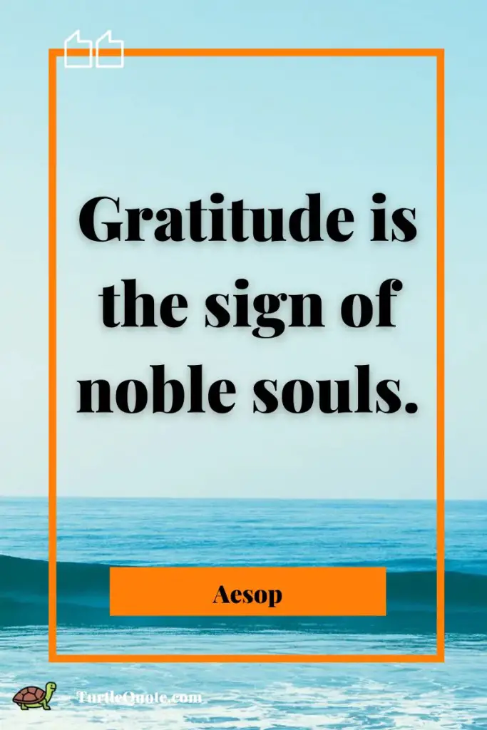 Gratitude Yoga Quotes!