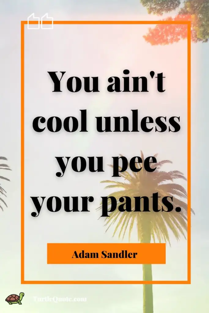 30 Funny Adam Sandler Quotes From His Movies | Turtle Quotes