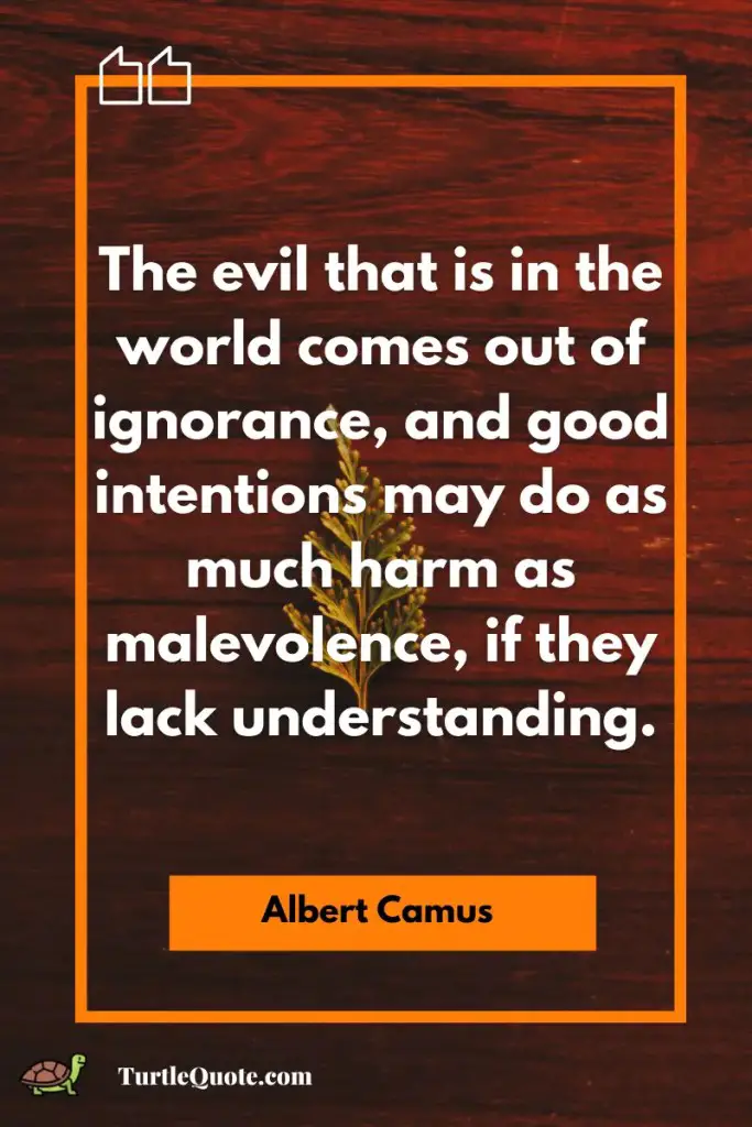 Albert Camus Quotes From The Plague