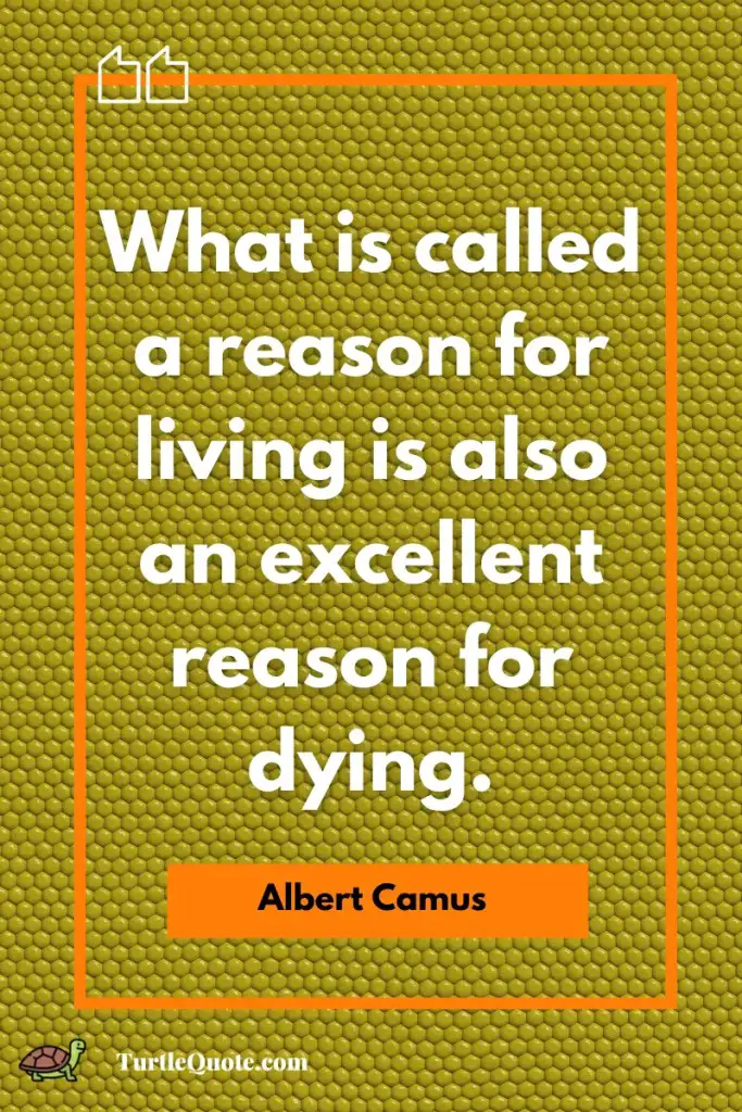 Albert Camus Absurd Quotes