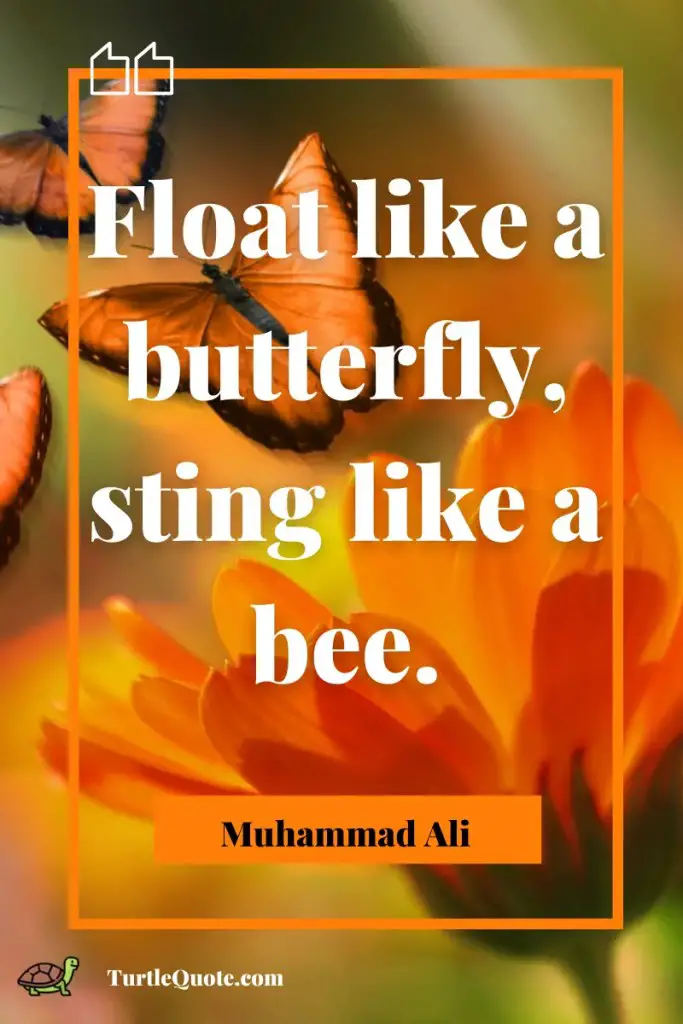 Butterfly Quotes For Her