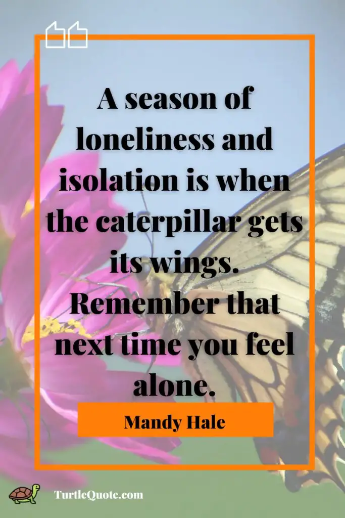 Uplifting Inspirational Butterfly Quotes
