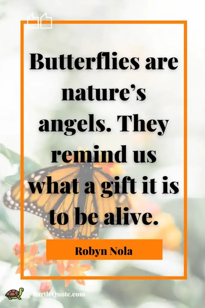 Butterfly Angel Quotes