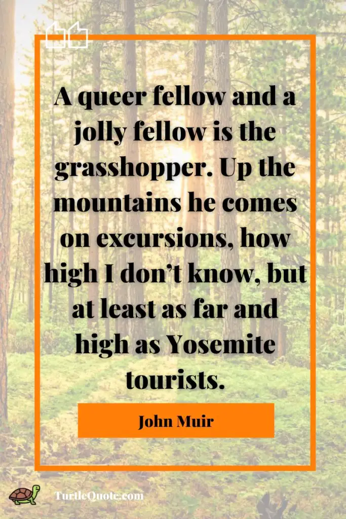 John Muir Yosemite Quotes