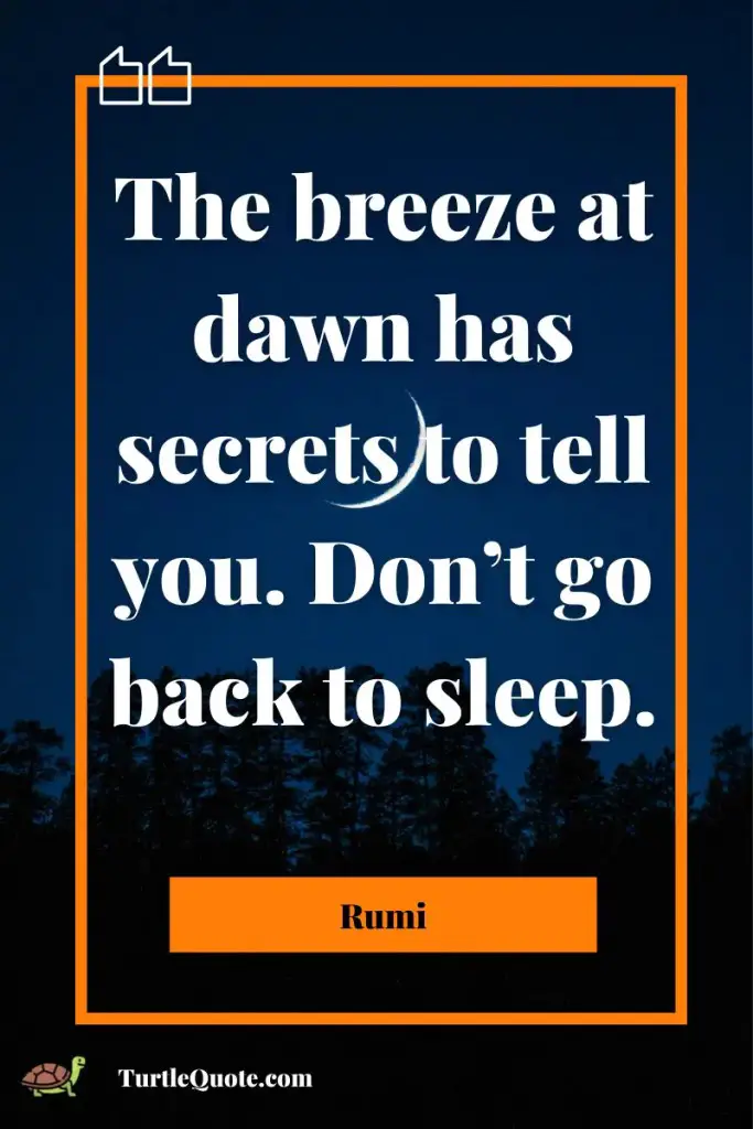 Rumi Full Moon Quotes