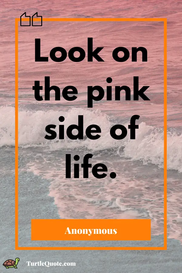 Positive Pink Quotes