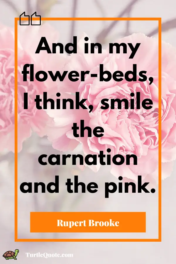 Pink Quotes About Life