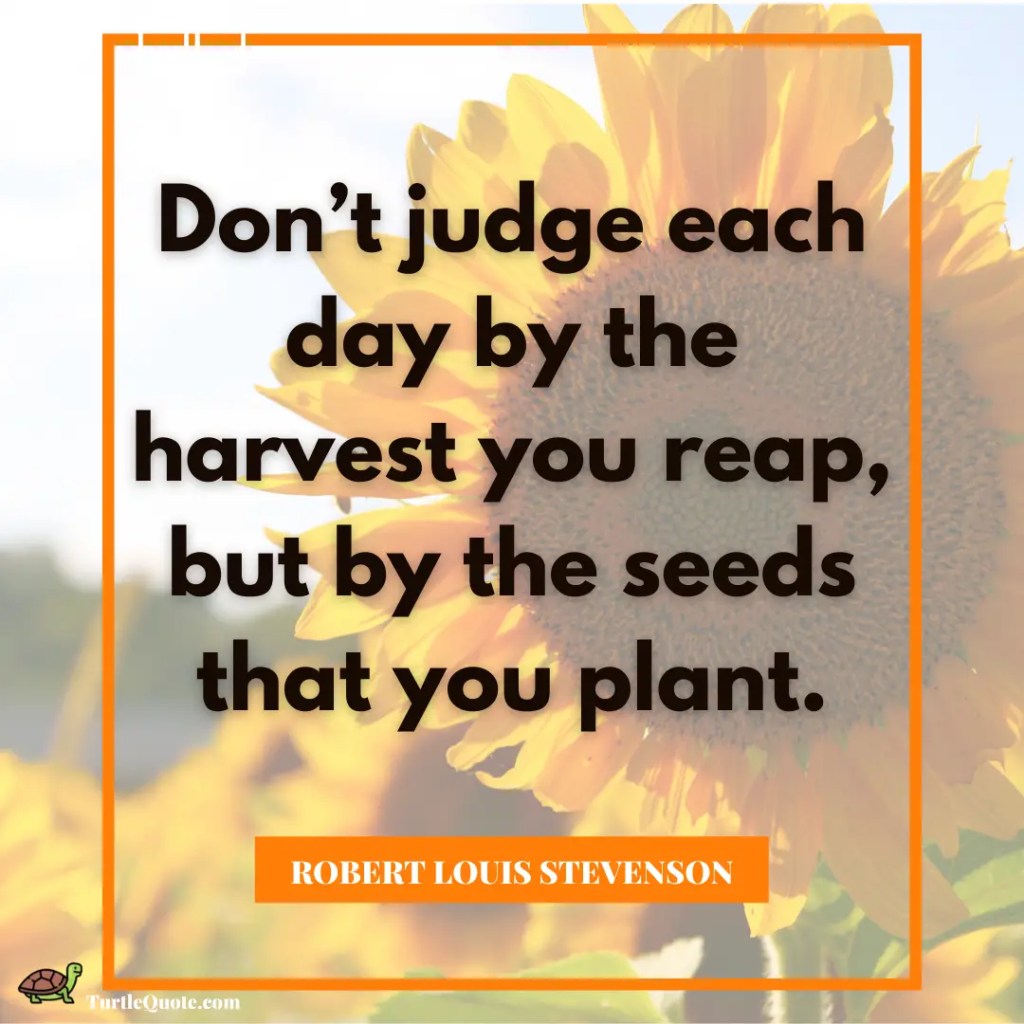 Sunflower Inspirational Quotes