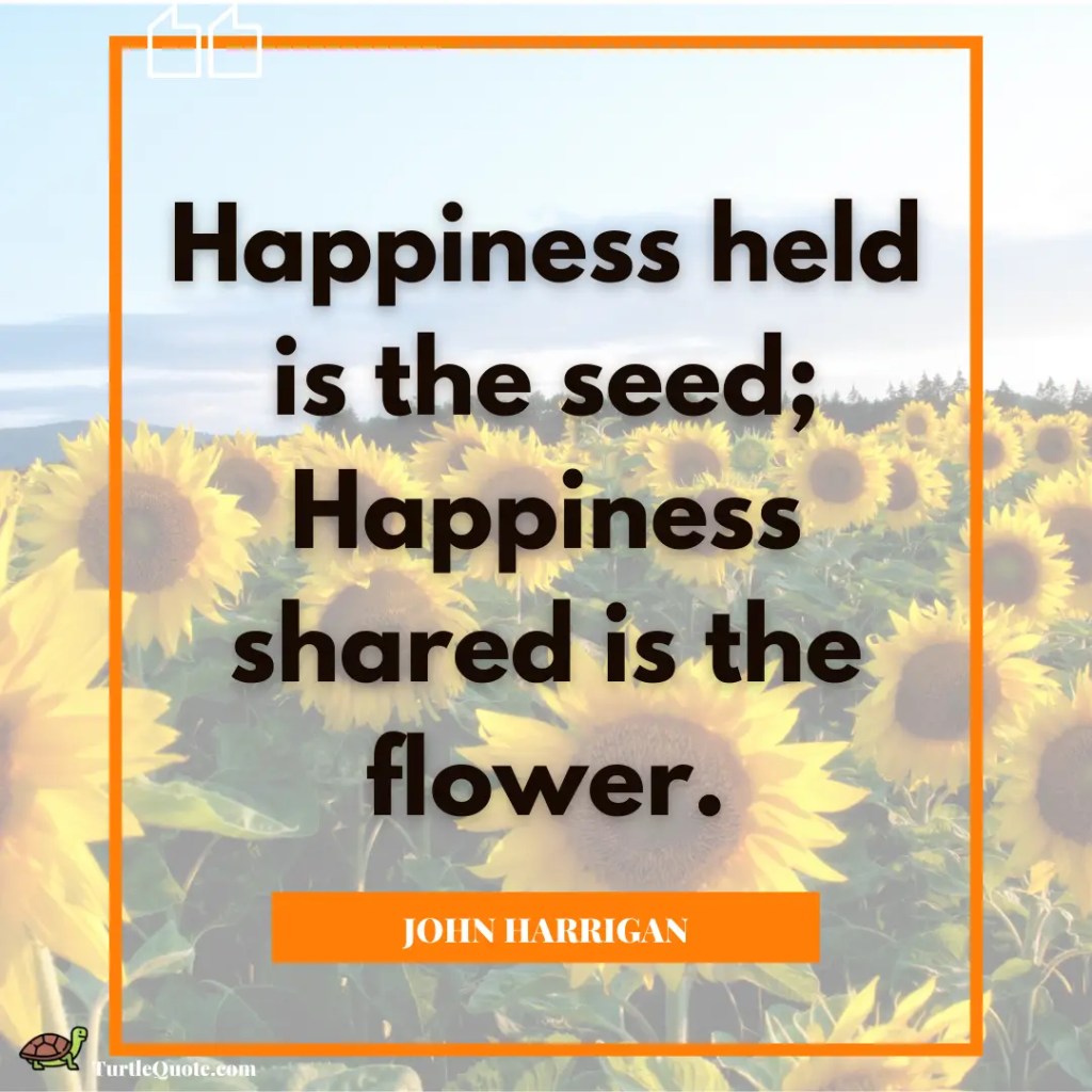 Happiness Sunflower Quotes