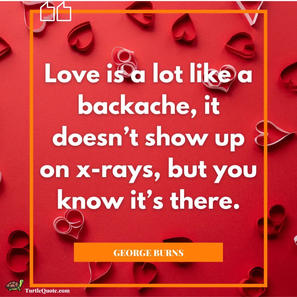 Happy Valentines Day Funny Quotes