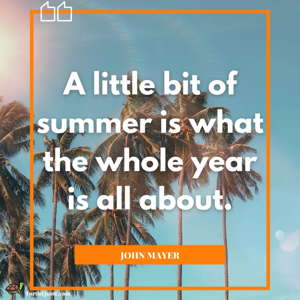 Summer Quotes Instagram