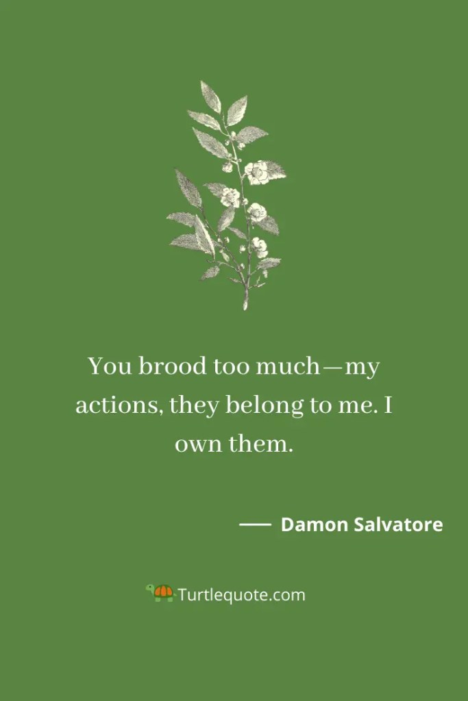 Damon Salvatore Quotes To Elena 
