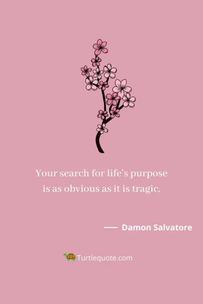 More Damon Salvatore Quotes
