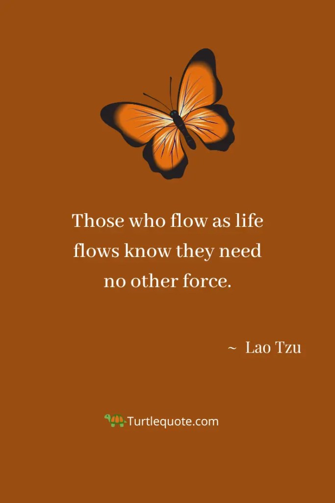 Gratitude Lao Tzu Quotes