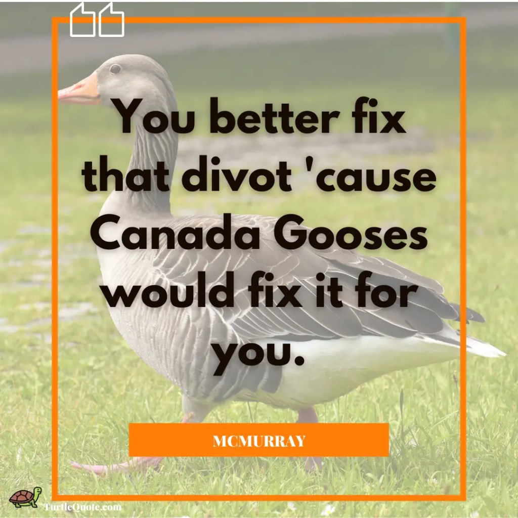 Letterkenny Canadian Geese Quotes
