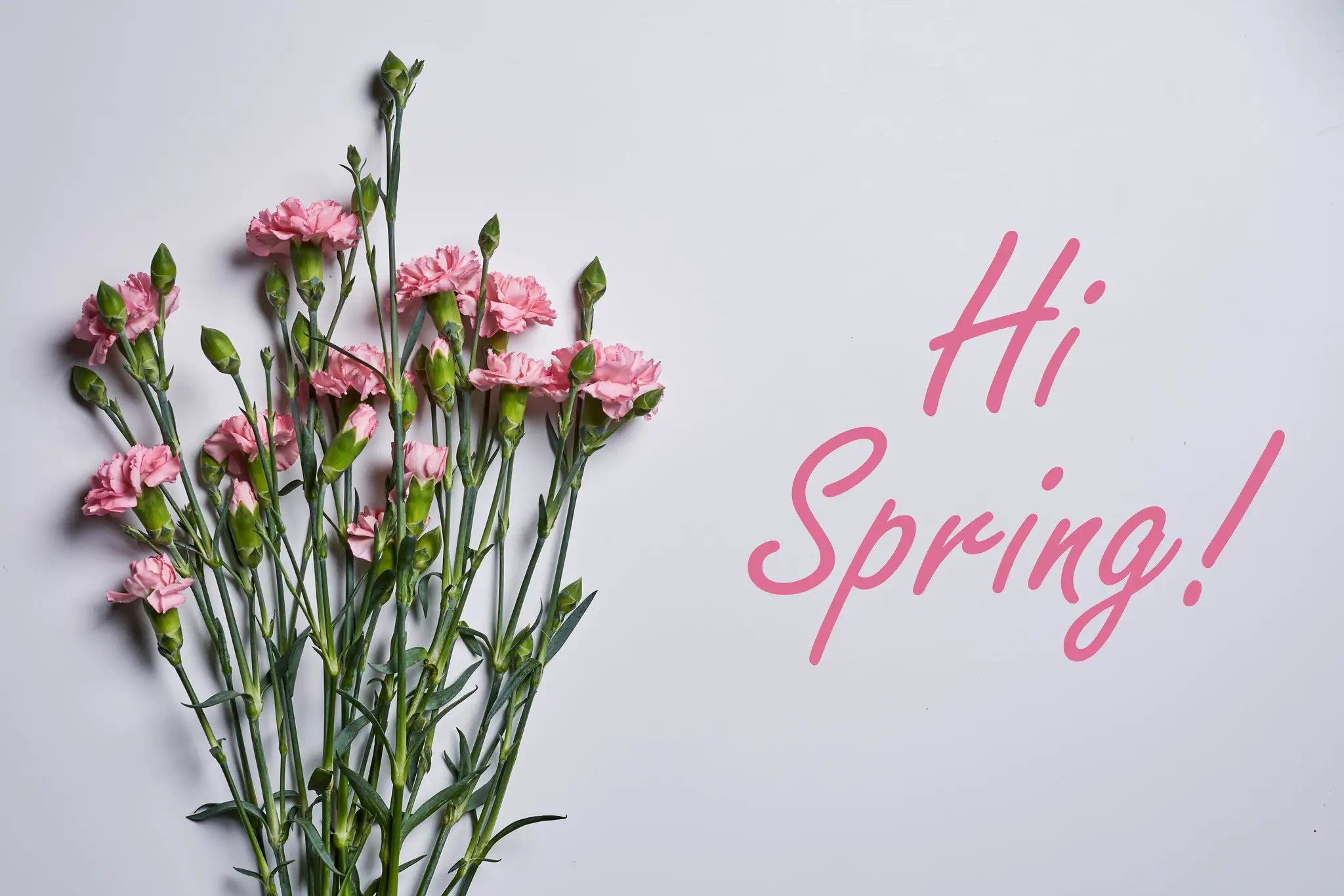 40 Hello March Quotes To Welcome The Spring Season