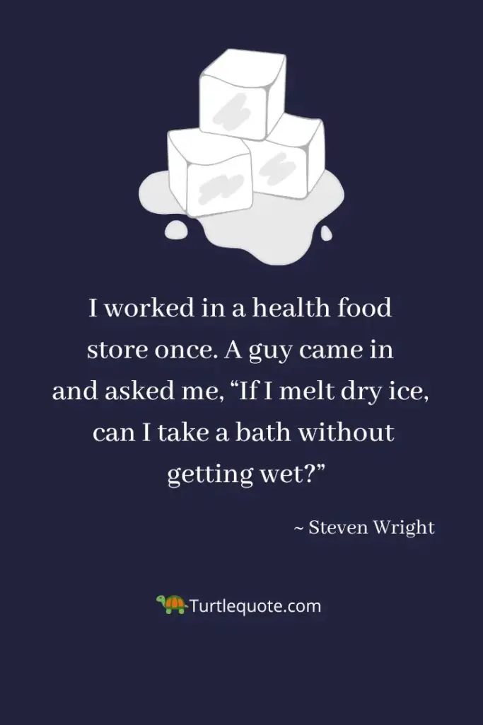 Steven Wright Funny Quotes 