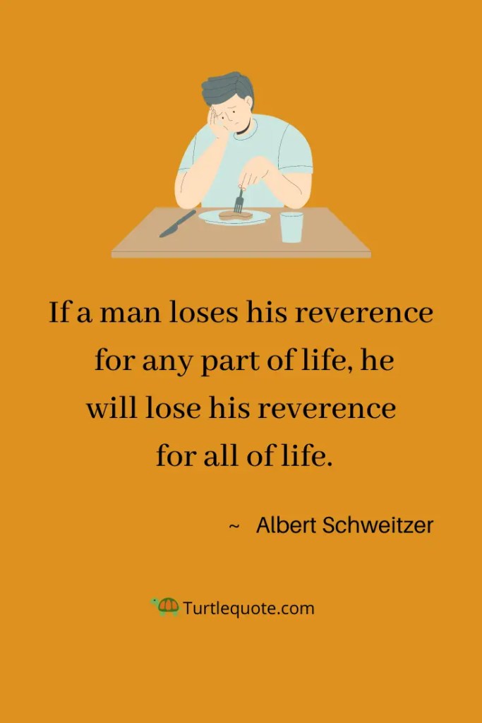 Albert Schweitzer Quotes About Life