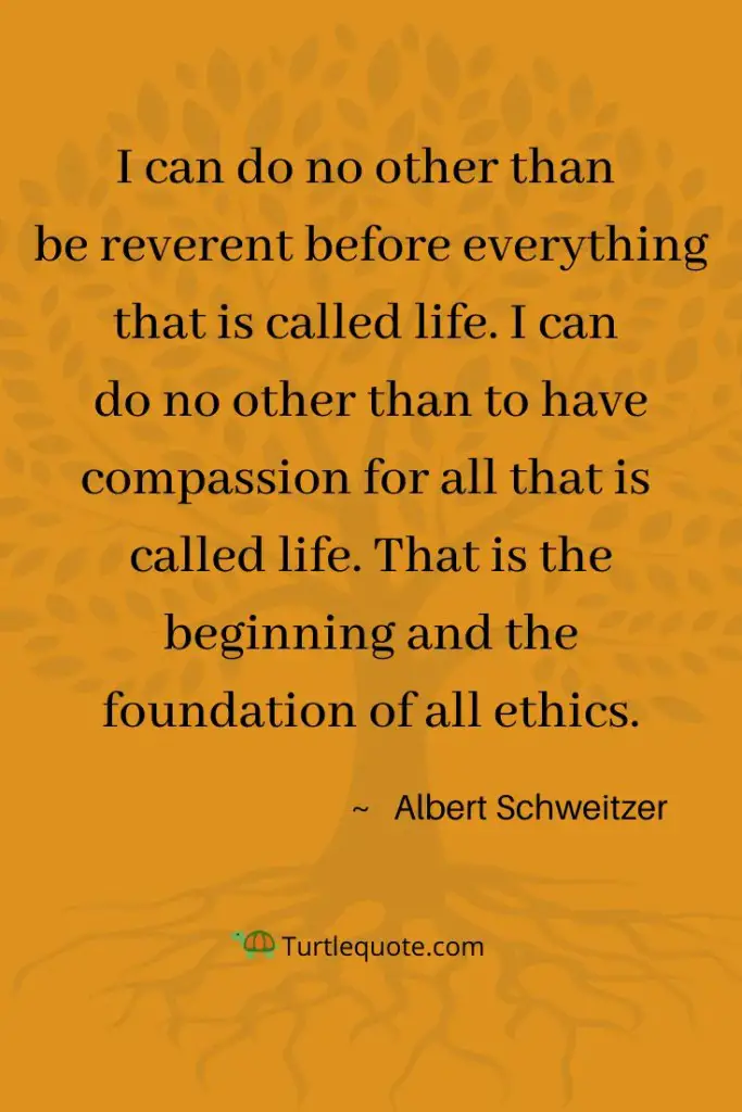 Albert Schweitzer Quotes About Life