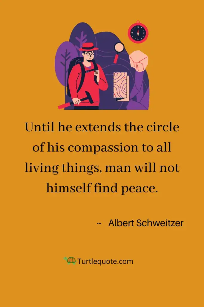 Wise Albert Schweitzer Quotes
