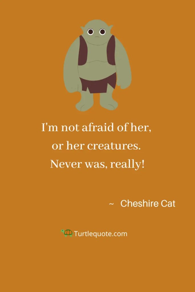 American McGee Cheshire Cat Quotes