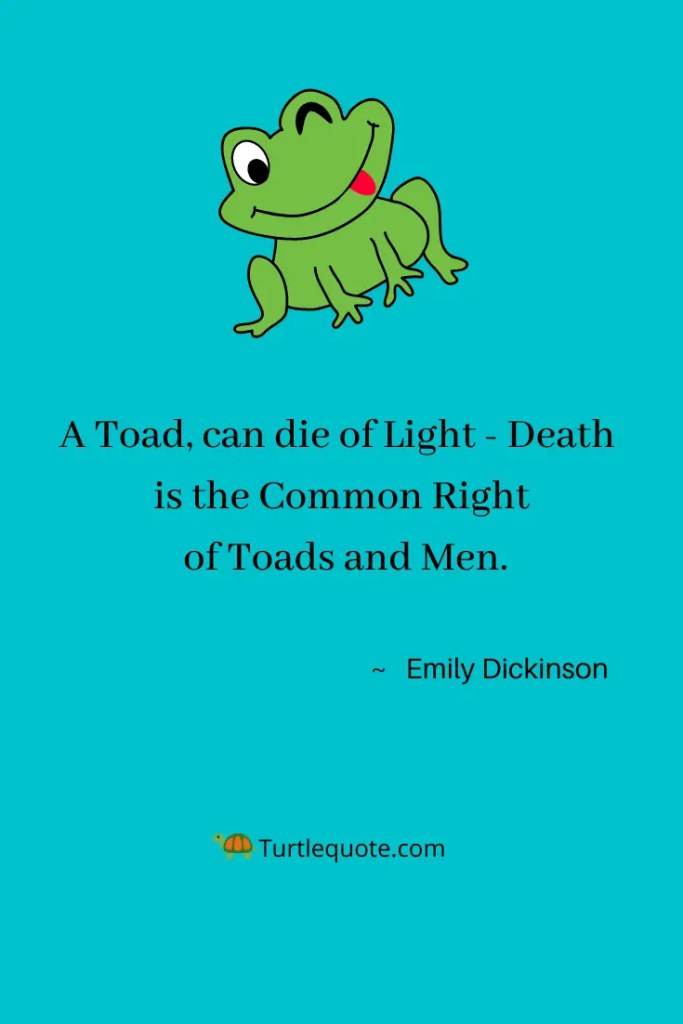 Emily Dickinson Quotes About Death