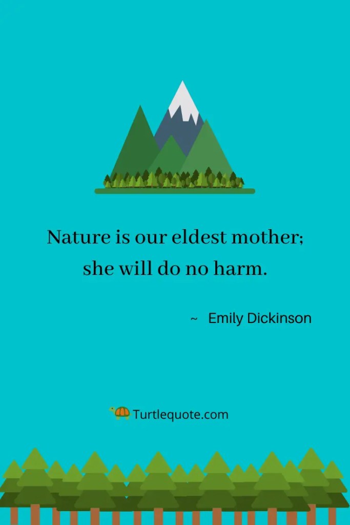 Emily Dickinson Nature Quotes