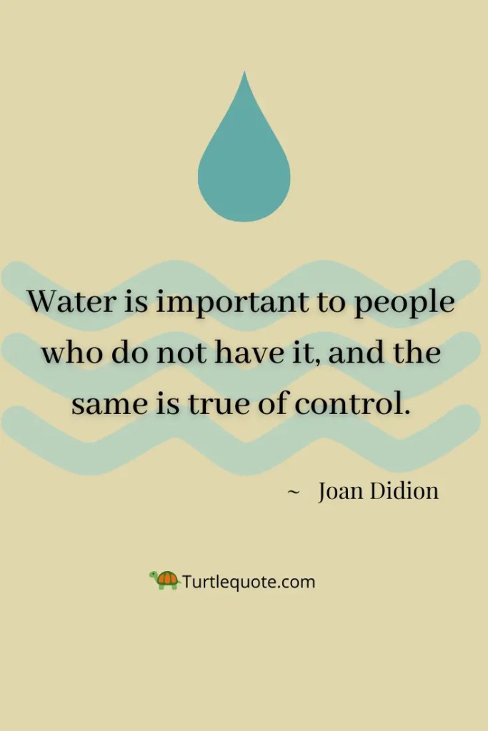 Self-Respect Joan Didion Quotes