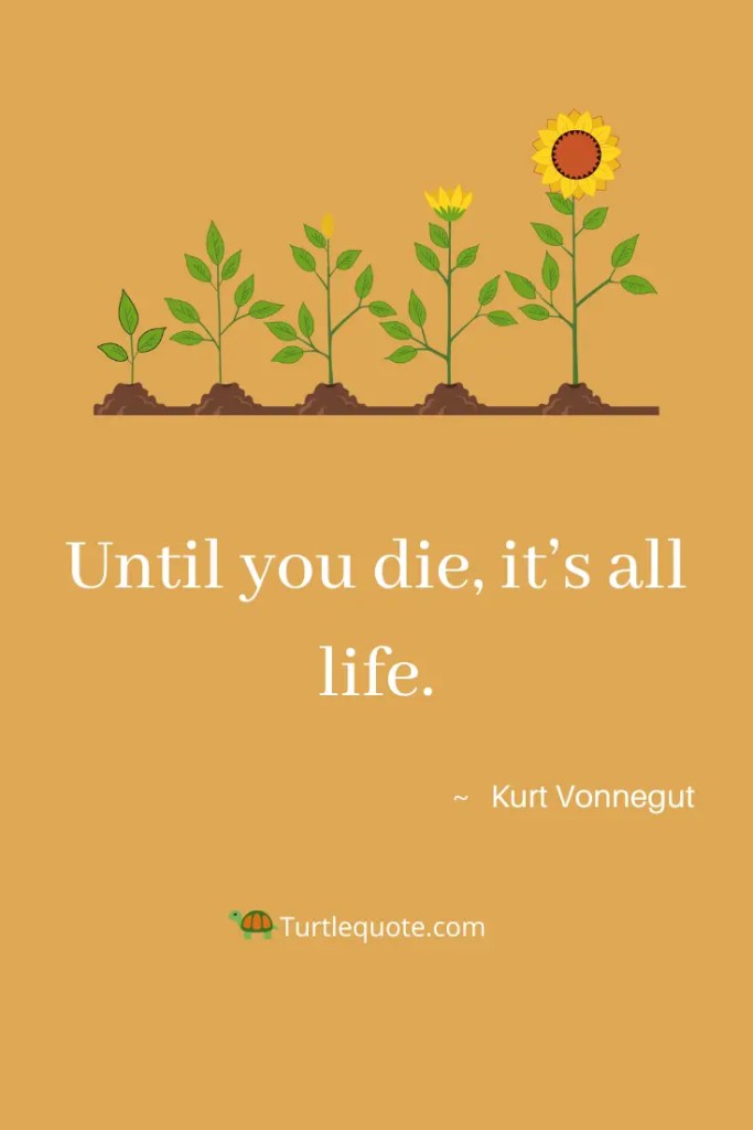Kurt Vonnegut Quotes About Life