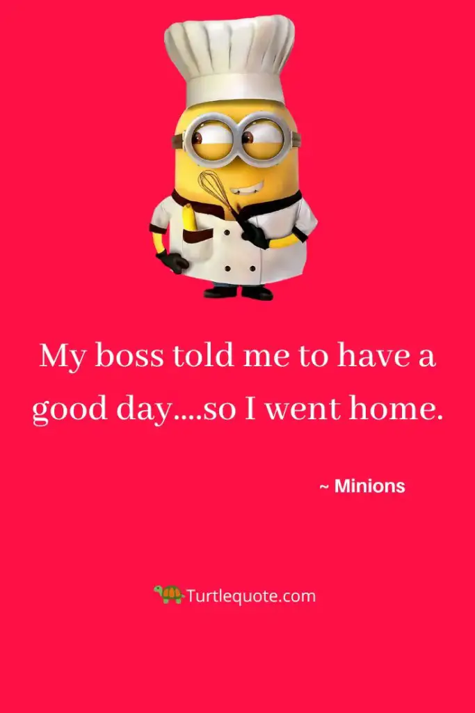 27 Funny Minion Quotes For Facebook & More | Turtle Quotes