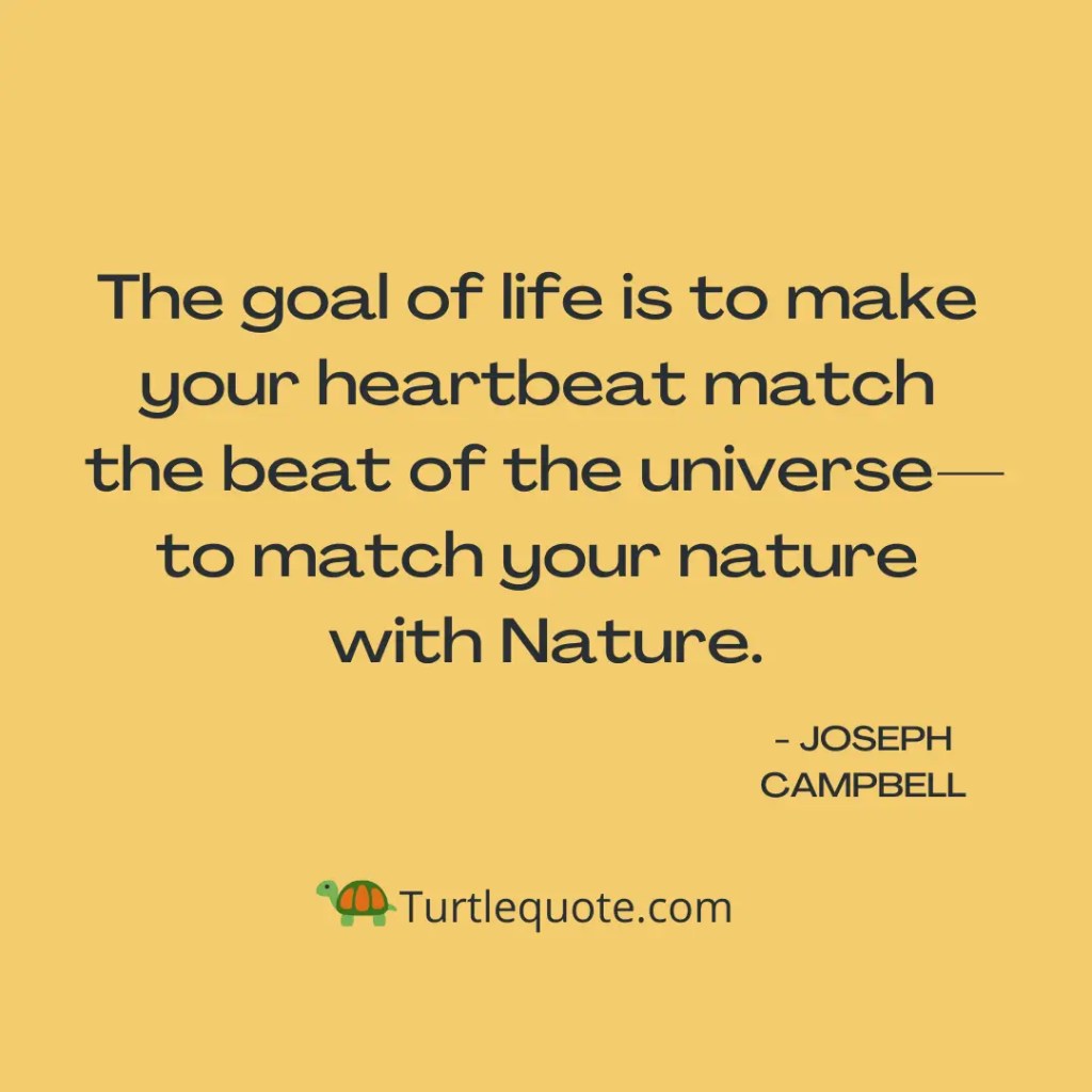 Joseph Campbell Quotes About Life