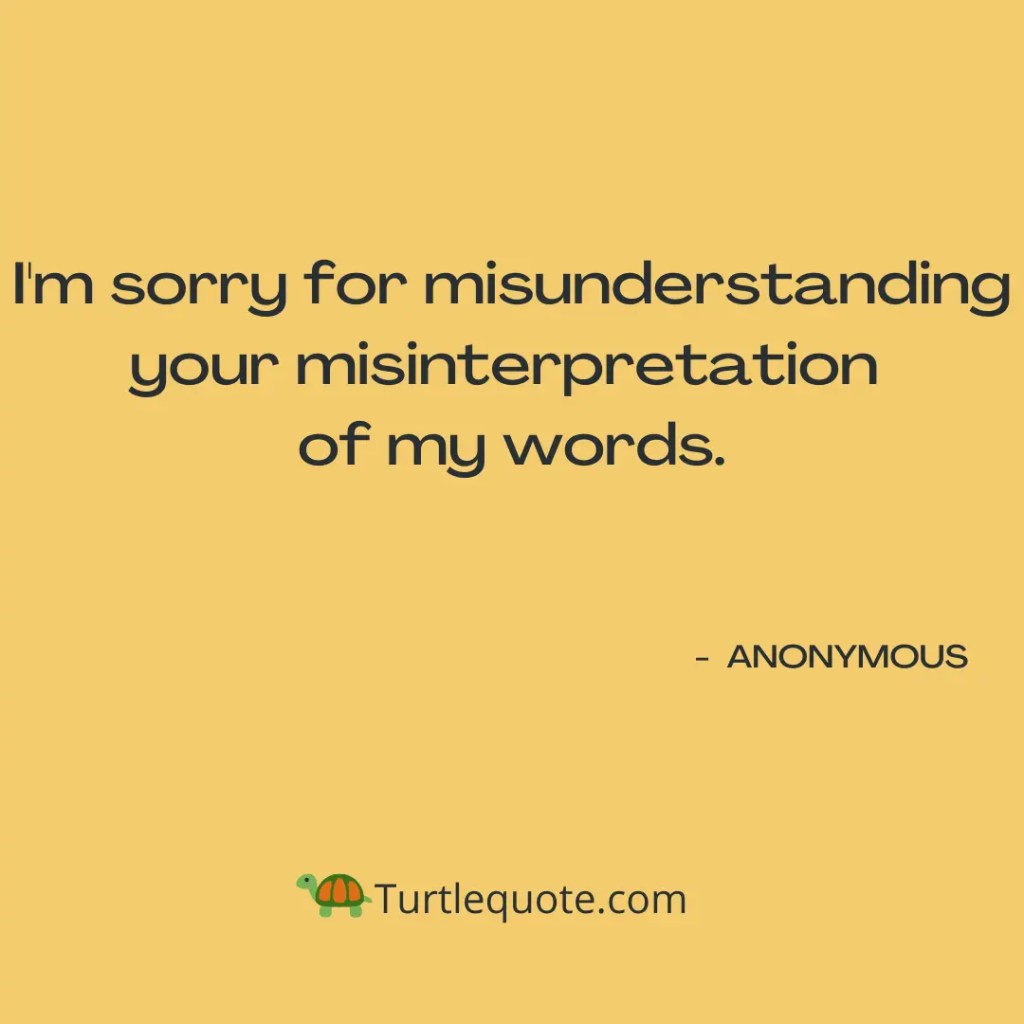Sorry Misunderstanding Quotes