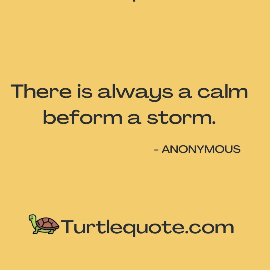 Calm Before The Storm Quotes