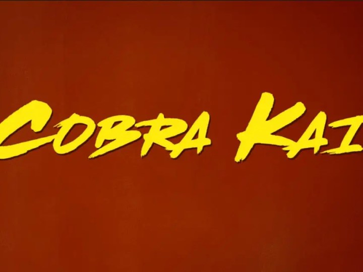 27 Inspirational Cobra Kai Quotes To Motivate Your Life