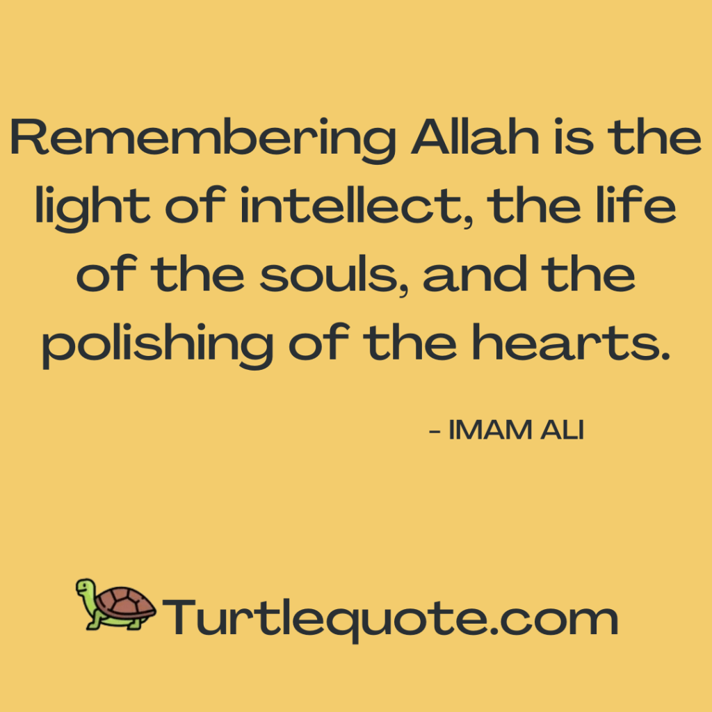 Imam Ali Quotes About Life