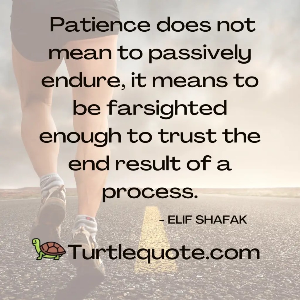 Patience does not mean to passively endure, it means to be farsighted enough to trust the end result of a process.