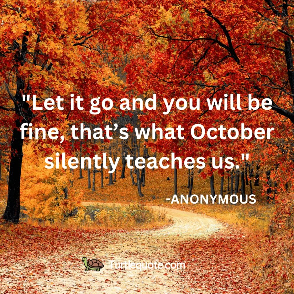 Let it go and you will be fine, that’s what October silently teaches us. - turtle quote
