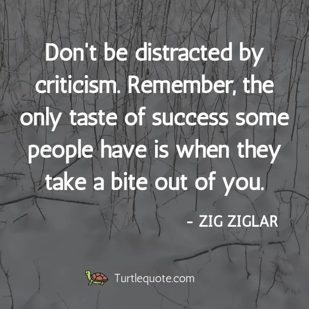Don't be distracted by criticism. Remember, the only taste of success some people have is when they take a bite out of you.