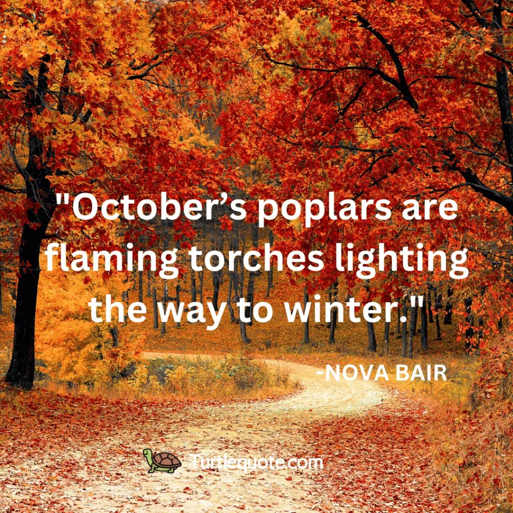 October’s poplars are flaming torches lighting the way to winter. - turtle quote