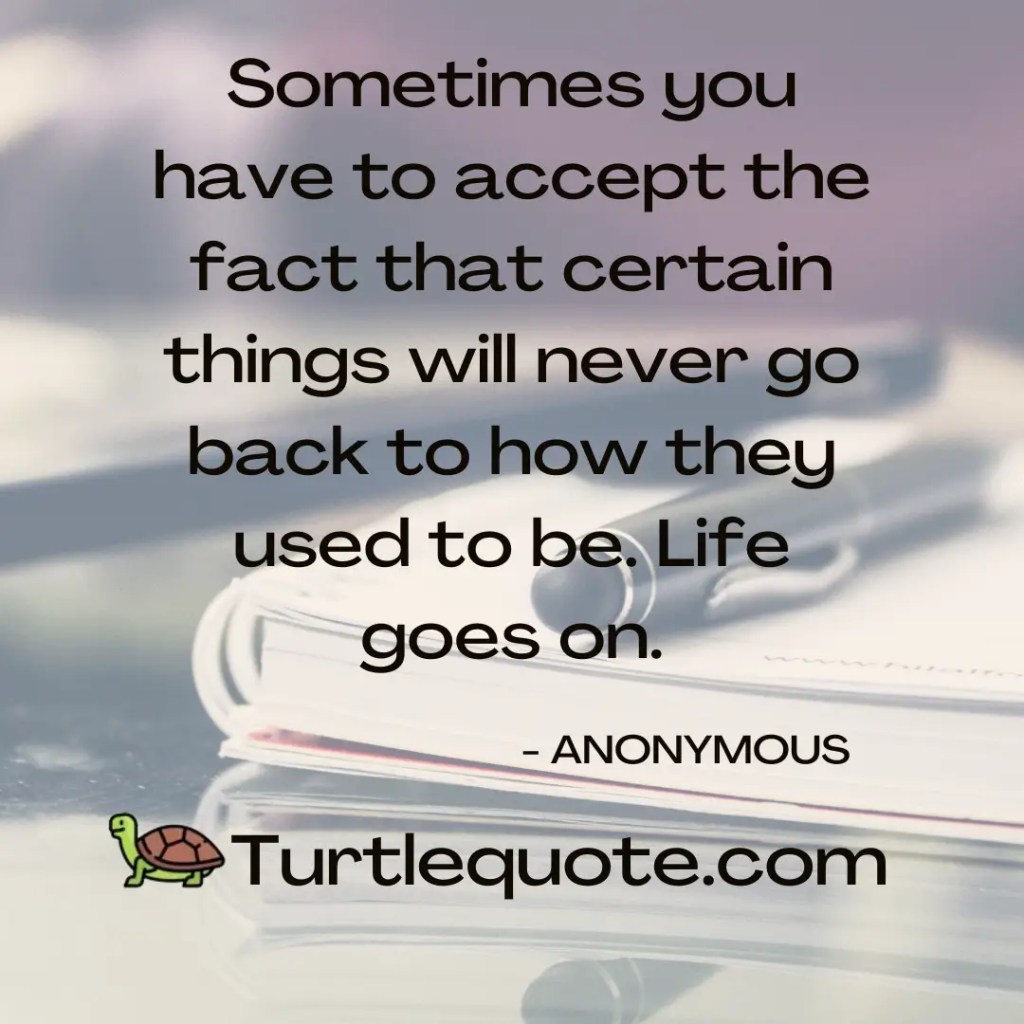 Sometimes you have to accept the fact that certain things will never go back to how they used to be. Life goes on.