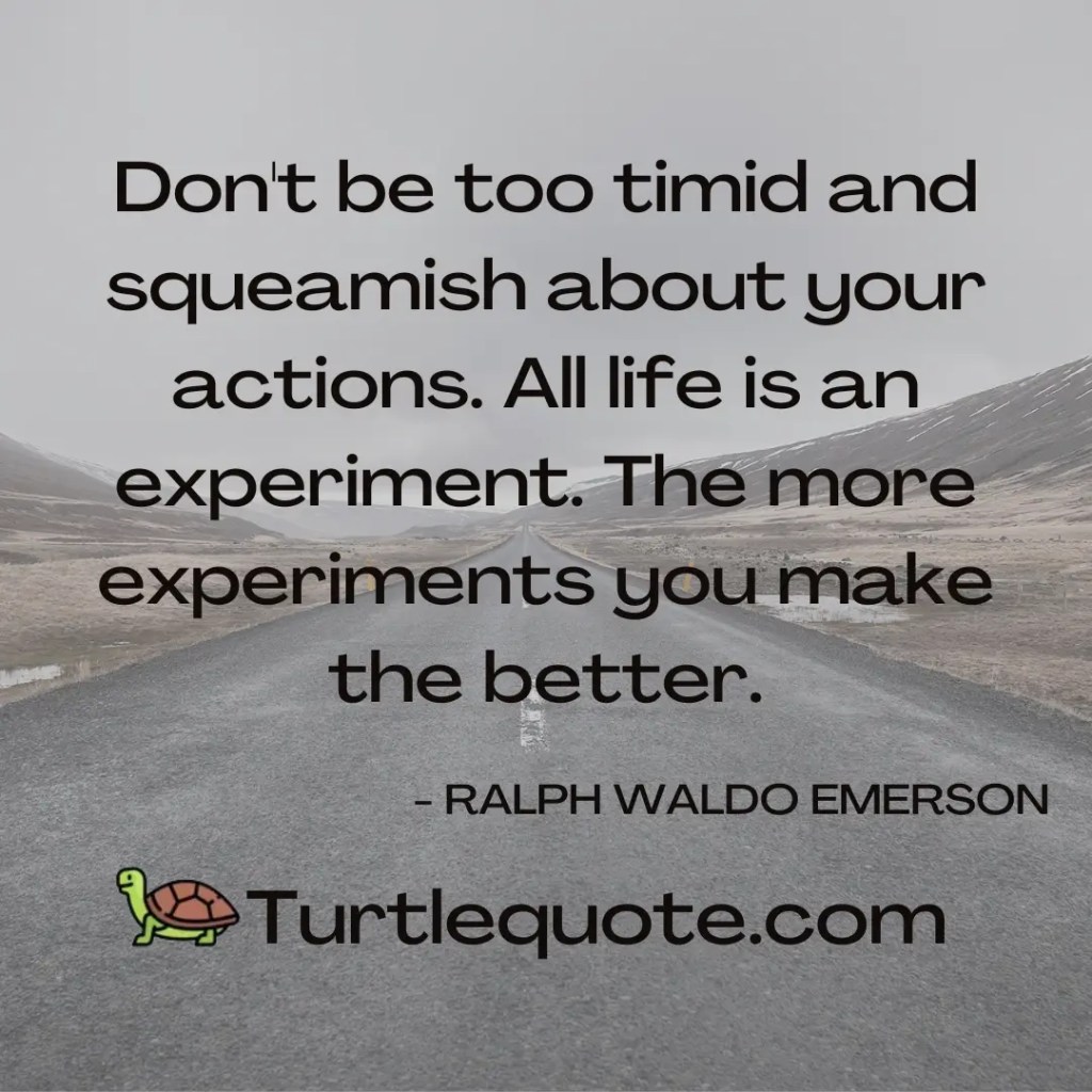 Don't be too timid and squeamish about your actions. All life is an experiment. The more experiments you make the better.