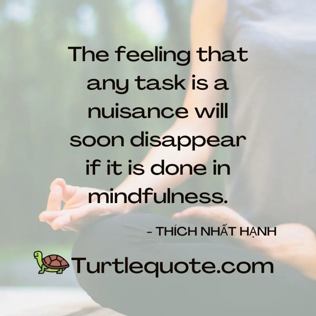 The feeling that any task is a nuisance will soon disappear if it is done in mindfulness.
