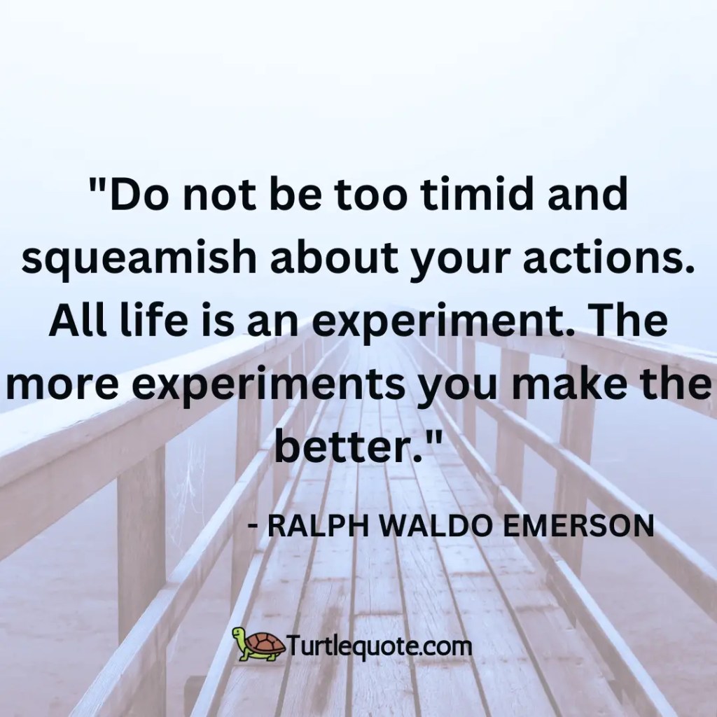 Do not be too timid and squeamish about your actions. All life is an experiment. The more experiments you make the better.