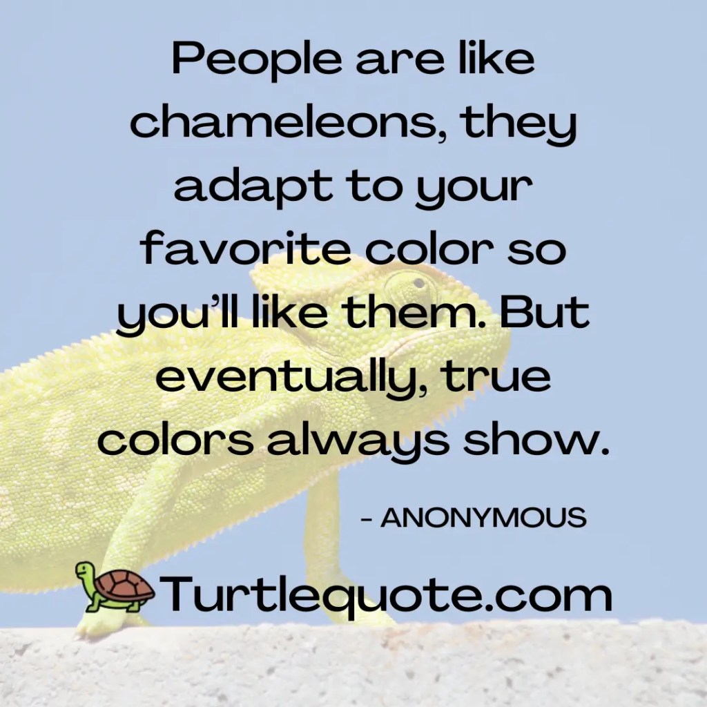 People are like chameleons, they adapt to your favorite color so you’ll like them. But eventually, true colors always show.
