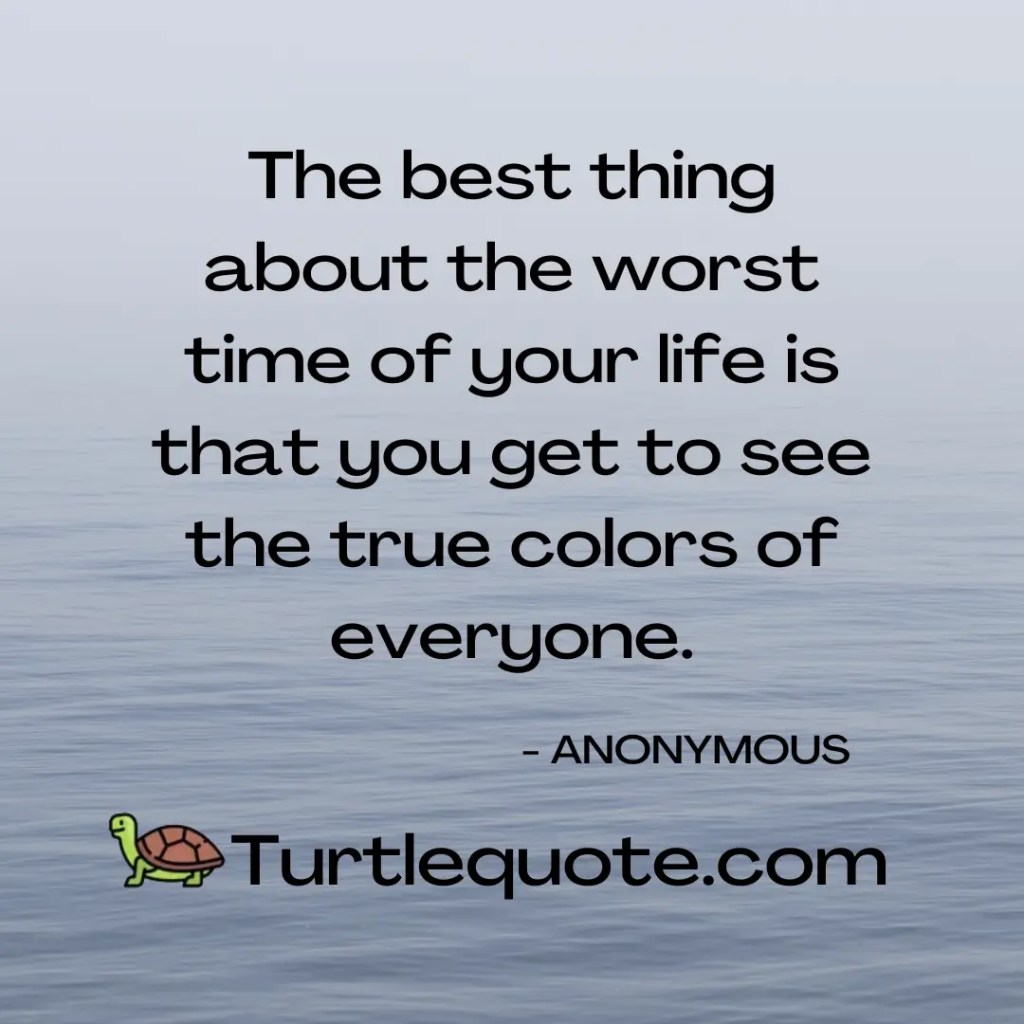 The best thing about the worst time of your life is that you get to see the true colors of everyone.